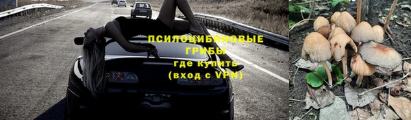 а пвп мука Осташков