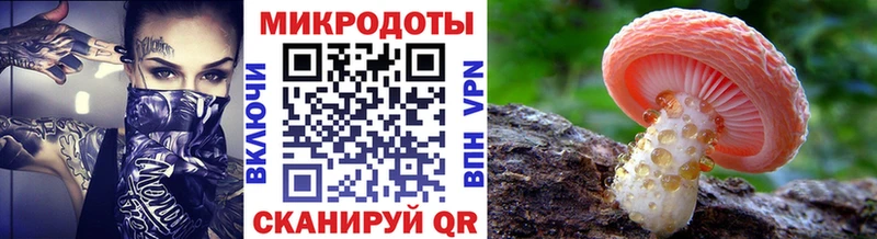 Купить  Урус-Мартан  Галлюциногенные грибы мицелий 